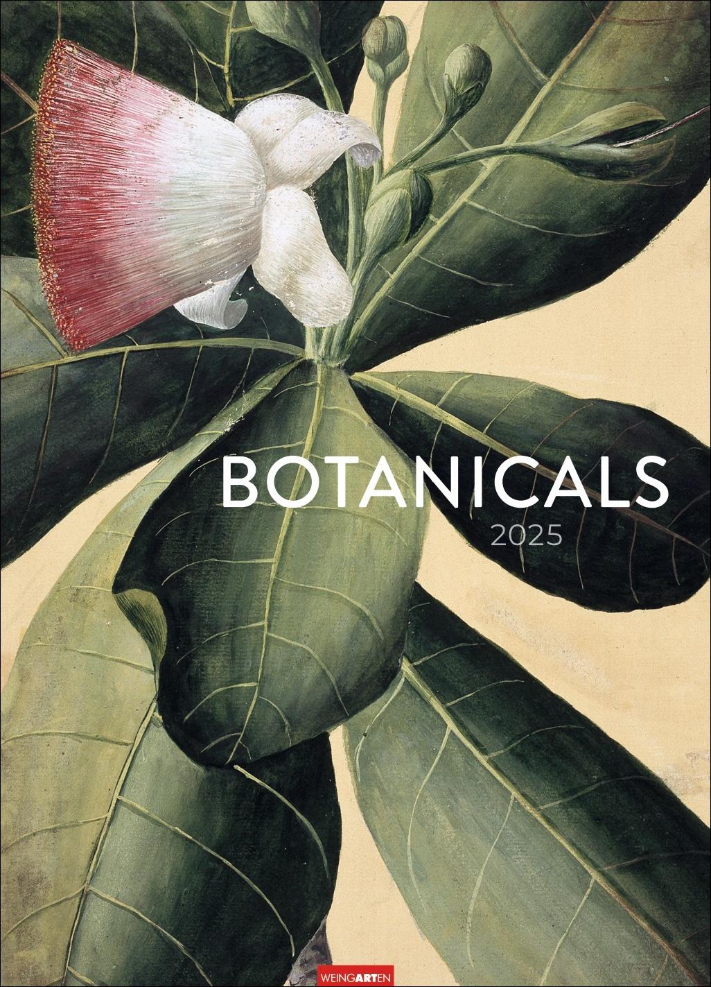 Botanicals Kalender 2025 Jahres-Wandkalender 2025. Imposante Blätter-Kunst im Retro-Look. Historisch-botanische Zeichnungen, zeitgemäß inszeniert. Beeindruckender Kunstkalender im Großformat 49 x 68 cm