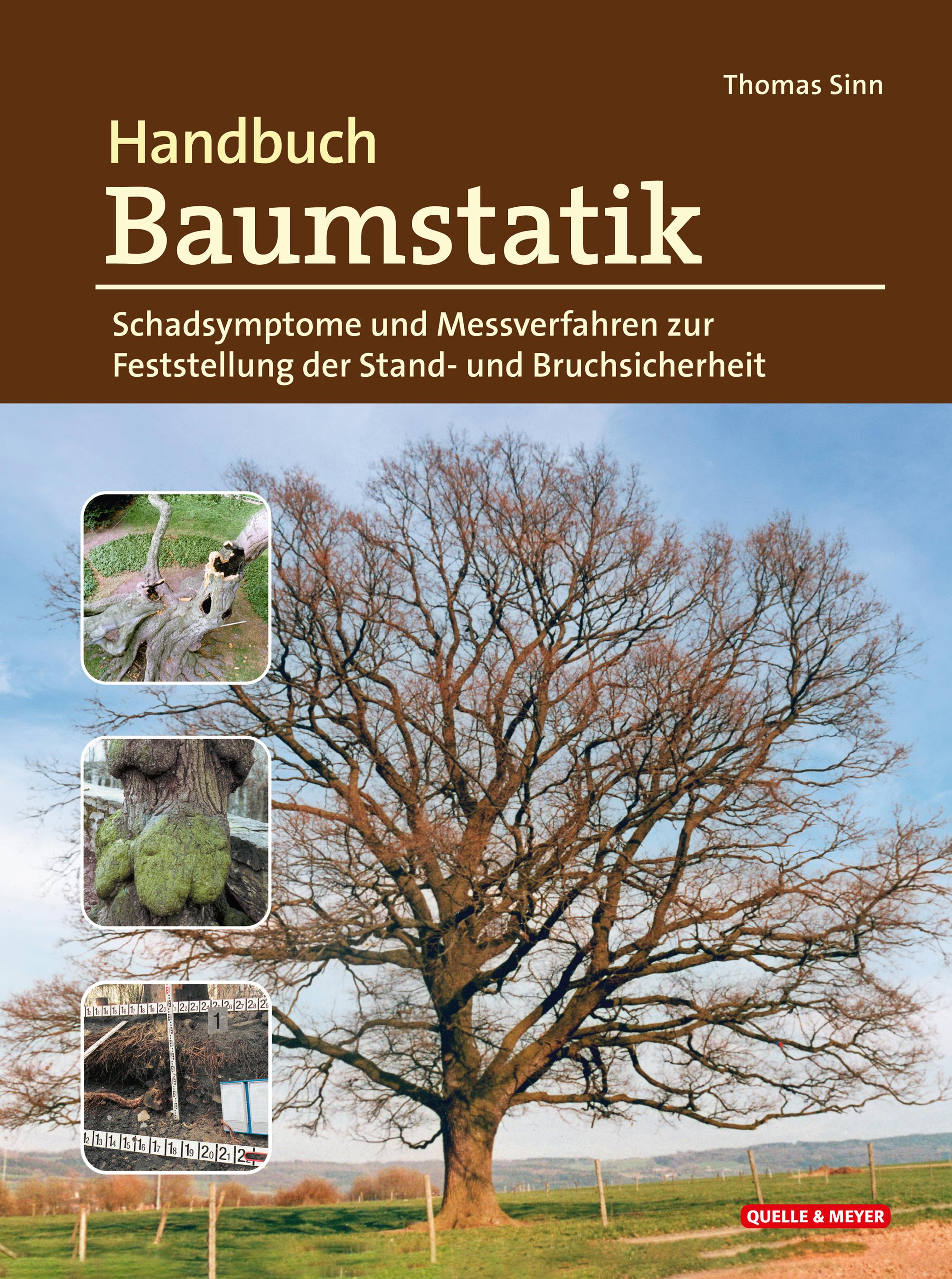 Handbuch Baumstatik Schadsymptome und Messverfahren zur Feststellung der Stand- und Bruchsicherheit