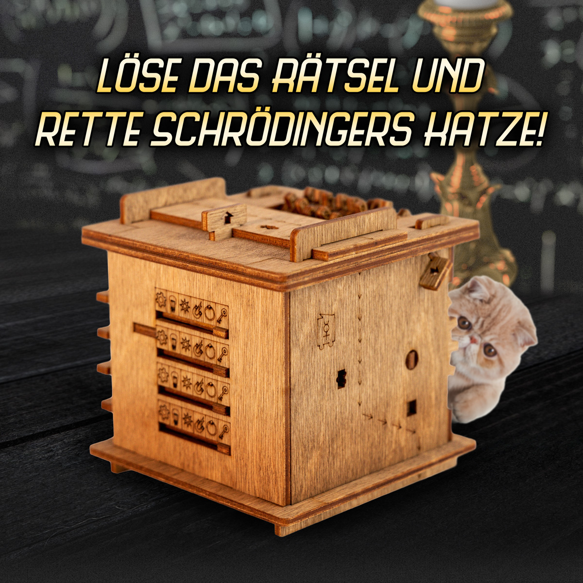 Escape Room Rätselbox - Schrödingers Katze